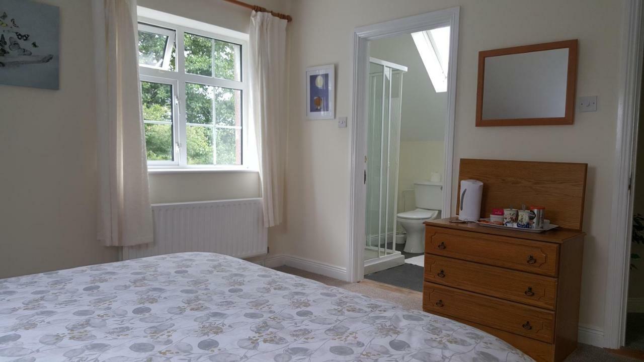 Nephin Lodge Westport Bagian luar foto
